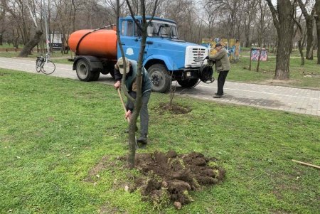 Убирают газоны, моют тротуары, красят садовую мебель и высаживают цветы: коммунальщики благоустраивают и озеленяют Одессу (фото)