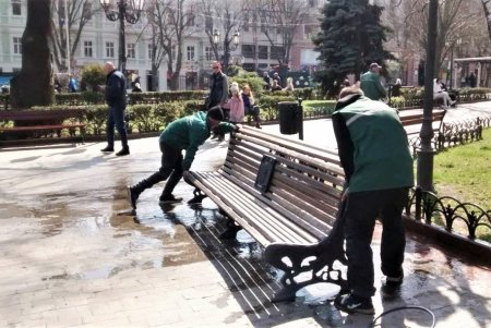 Убирают газоны, моют тротуары, красят садовую мебель и высаживают цветы: коммунальщики благоустраивают и озеленяют Одессу (фото)
