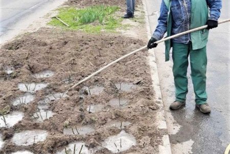 Убирают газоны, моют тротуары, красят садовую мебель и высаживают цветы: коммунальщики благоустраивают и озеленяют Одессу (фото)