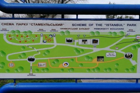 Убирают газоны, моют тротуары, красят садовую мебель и высаживают цветы: коммунальщики благоустраивают и озеленяют Одессу (фото)