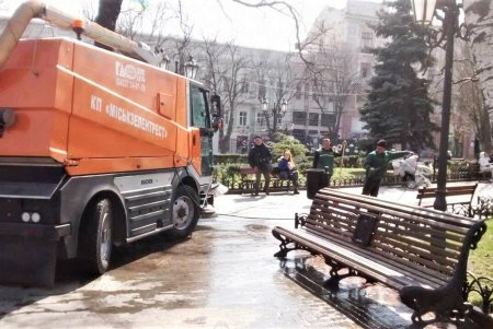 Убирают газоны, моют тротуары, красят садовую мебель и высаживают цветы: коммунальщики благоустраивают и озеленяют Одессу (фото)