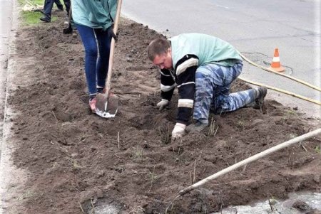 Убирают газоны, моют тротуары, красят садовую мебель и высаживают цветы: коммунальщики благоустраивают и озеленяют Одессу (фото)