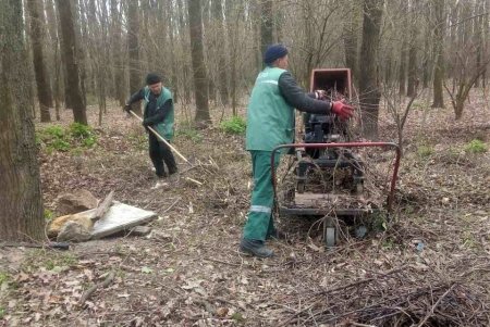 Убирают газоны, моют тротуары, красят садовую мебель и высаживают цветы: коммунальщики благоустраивают и озеленяют Одессу (фото)