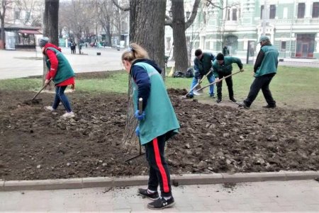 Убирают газоны, моют тротуары, красят садовую мебель и высаживают цветы: коммунальщики благоустраивают и озеленяют Одессу (фото)