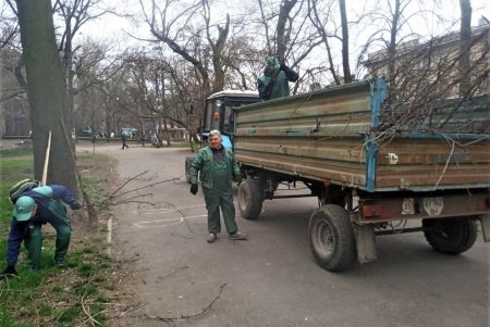Убирают газоны, моют тротуары, красят садовую мебель и высаживают цветы: коммунальщики благоустраивают и озеленяют Одессу (фото)