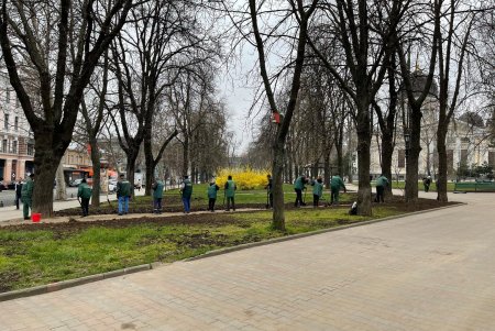 Убирают газоны, моют тротуары, красят садовую мебель и высаживают цветы: коммунальщики благоустраивают и озеленяют Одессу (фото)