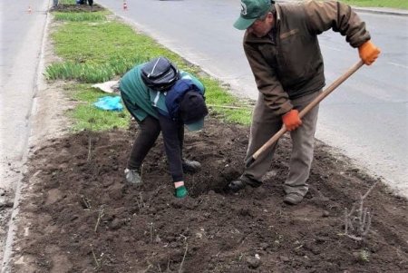 Убирают газоны, моют тротуары, красят садовую мебель и высаживают цветы: коммунальщики благоустраивают и озеленяют Одессу (фото)