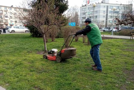 Убирают газоны, моют тротуары, красят садовую мебель и высаживают цветы: коммунальщики благоустраивают и озеленяют Одессу (фото)