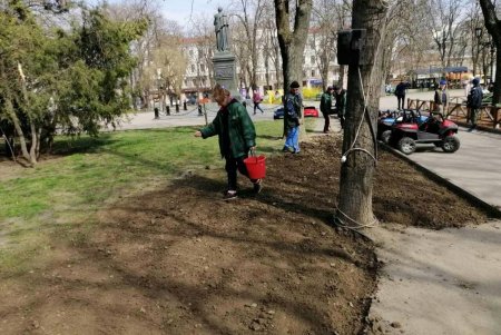 Убирают газоны, моют тротуары, красят садовую мебель и высаживают цветы: коммунальщики благоустраивают и озеленяют Одессу (фото)
