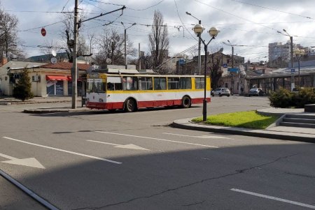 На оживленном перекрестке в районе парка Шевченко обновили разметку пешеходного перехода (фото)