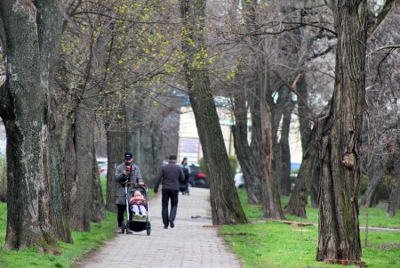 Парк облсовета вскоре станет сквером Героев Небесной сотни (фоторепортаж)