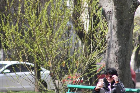 Парк облсовета вскоре станет сквером Героев Небесной сотни (фоторепортаж)