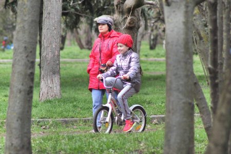 Парк облсовета вскоре станет сквером Героев Небесной сотни (фоторепортаж)