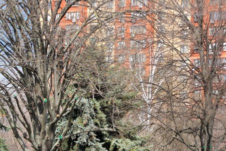 Парк облсовета вскоре станет сквером Героев Небесной сотни (фоторепортаж)