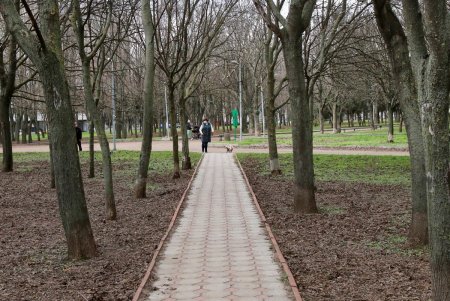 Парк облсовета вскоре станет сквером Героев Небесной сотни (фоторепортаж)