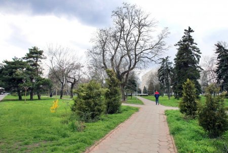 Парк облсовета вскоре станет сквером Героев Небесной сотни (фоторепортаж)