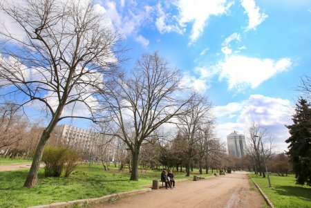 Парк облсовета вскоре станет сквером Героев Небесной сотни (фоторепортаж)