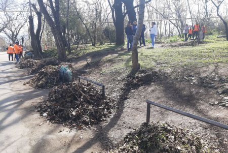Масштабный субботник ко Дню окружающей среды: на 11 локациях в Одессе проводится уборка (фото)
