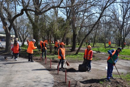 Итоги масштабного субботника в Одессе: десятки тонн мусора вывезли с зеленых зон города (фото)