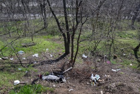Итоги масштабного субботника в Одессе: десятки тонн мусора вывезли с зеленых зон города (фото)