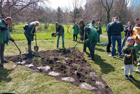 Итоги масштабного субботника в Одессе: десятки тонн мусора вывезли с зеленых зон города (фото)