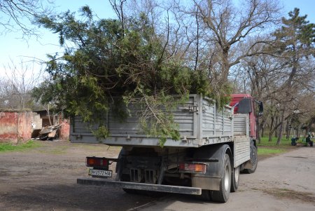 Итоги масштабного субботника в Одессе: десятки тонн мусора вывезли с зеленых зон города (фото)
