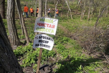 Итоги масштабного субботника в Одессе: десятки тонн мусора вывезли с зеленых зон города (фото)