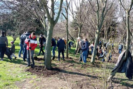 Итоги масштабного субботника в Одессе: десятки тонн мусора вывезли с зеленых зон города (фото)