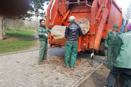 Итоги масштабного субботника в Одессе: десятки тонн мусора вывезли с зеленых зон города (фото)