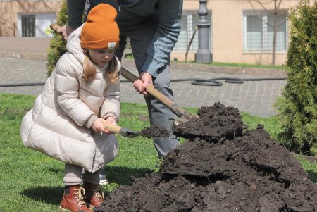 На Театральной площади высадили деревья в рамках масштабного субботника (фоторепортаж)