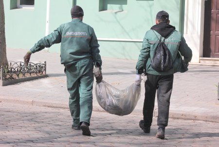 На Театральной площади высадили деревья в рамках масштабного субботника (фоторепортаж)