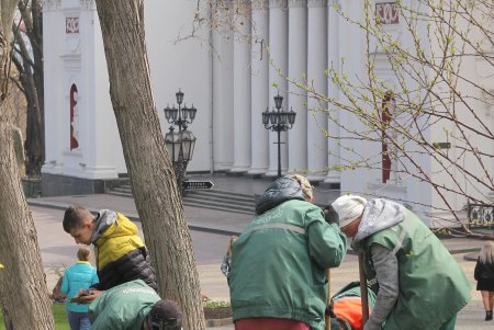 На Театральной площади высадили деревья в рамках масштабного субботника (фоторепортаж)