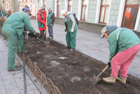 На Театральной площади высадили деревья в рамках масштабного субботника (фоторепортаж)