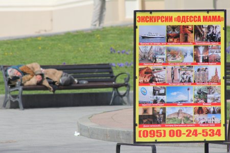 На Театральной площади высадили деревья в рамках масштабного субботника (фоторепортаж)