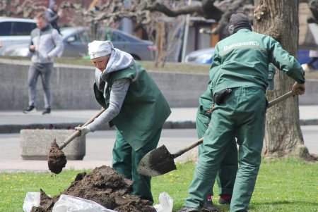 На Театральной площади высадили деревья в рамках масштабного субботника (фоторепортаж)