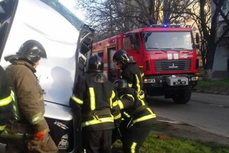 На Черемушках автомобиль влетел в дерево, водителя доставали спасатели (фото)