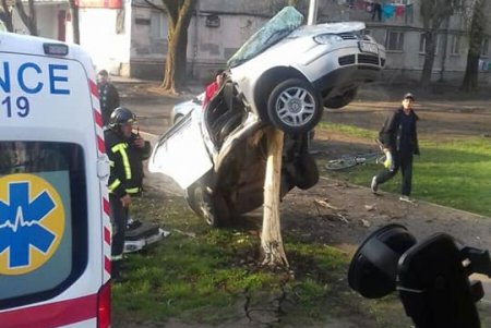 На Черемушках автомобиль влетел в дерево, водителя доставали спасатели (фото)