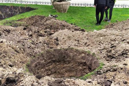 Шесть больших голубых елей украсили Думскую площадь (фото)