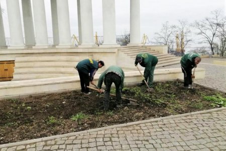 Уборка, ремонт и высадка растений: специалисты еженедельно благоустраивают зеленые зоны (фото)