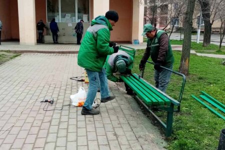 Уборка, ремонт и высадка растений: специалисты еженедельно благоустраивают зеленые зоны (фото)