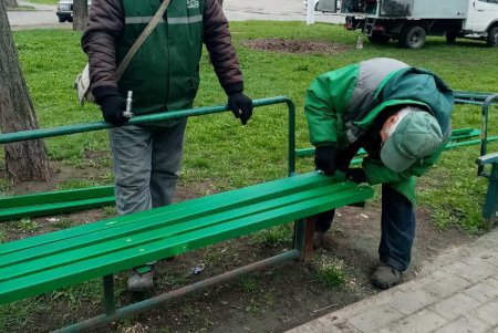 Уборка, ремонт и высадка растений: специалисты еженедельно благоустраивают зеленые зоны (фото)