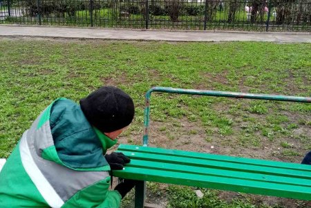 Уборка, ремонт и высадка растений: специалисты еженедельно благоустраивают зеленые зоны (фото)