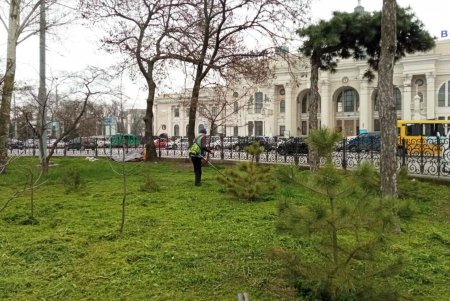 Уборка, ремонт и высадка растений: специалисты еженедельно благоустраивают зеленые зоны (фото)