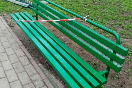 Уборка, ремонт и высадка растений: специалисты еженедельно благоустраивают зеленые зоны (фото)