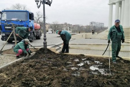 Уборка, ремонт и высадка растений: специалисты еженедельно благоустраивают зеленые зоны (фото)