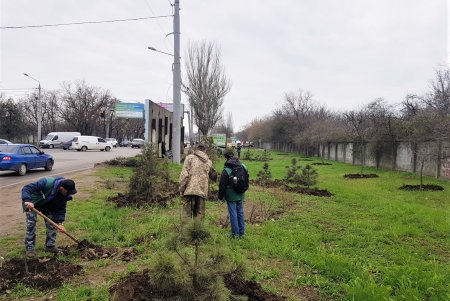 Уборка, ремонт и высадка растений: специалисты еженедельно благоустраивают зеленые зоны (фото)