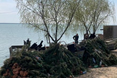 Около трех тысяч искусственных нерестилищ размещены в придунайских озерах и в Хаджибейском лимане (фото)