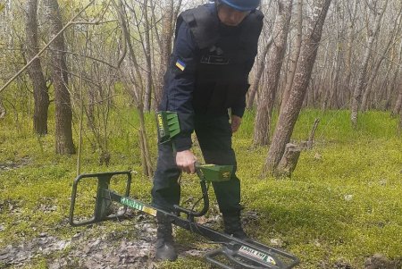 В двух районах области саперы уничтожили арсеналы боеприпасов