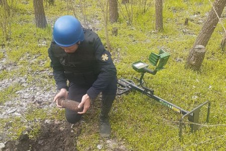 В двух районах области саперы уничтожили арсеналы боеприпасов