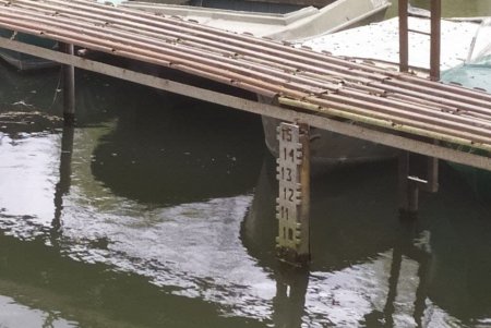 Уровень воды в низовье Днестра падает: нерест под угрозой (фото)